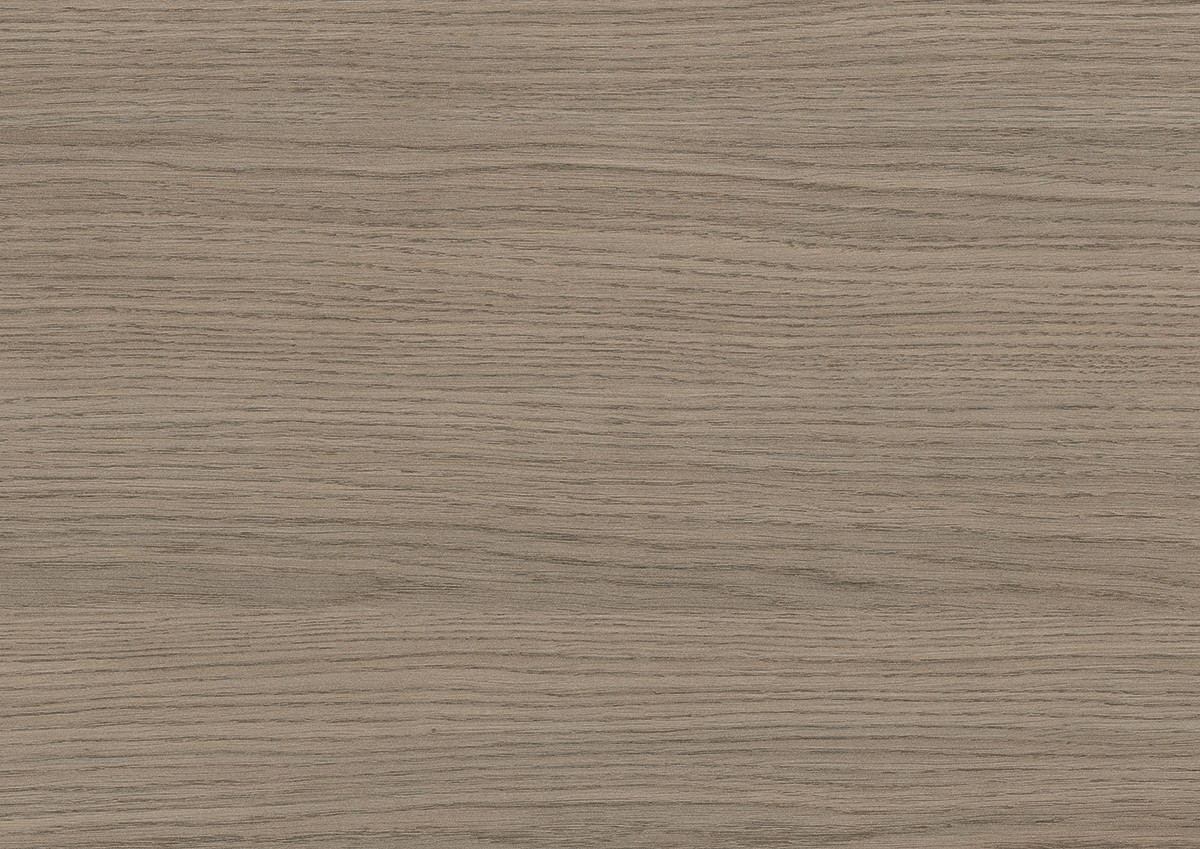 Grey oak Grey oak